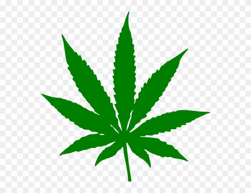 Marijuana Leaf Clipart (#428304).