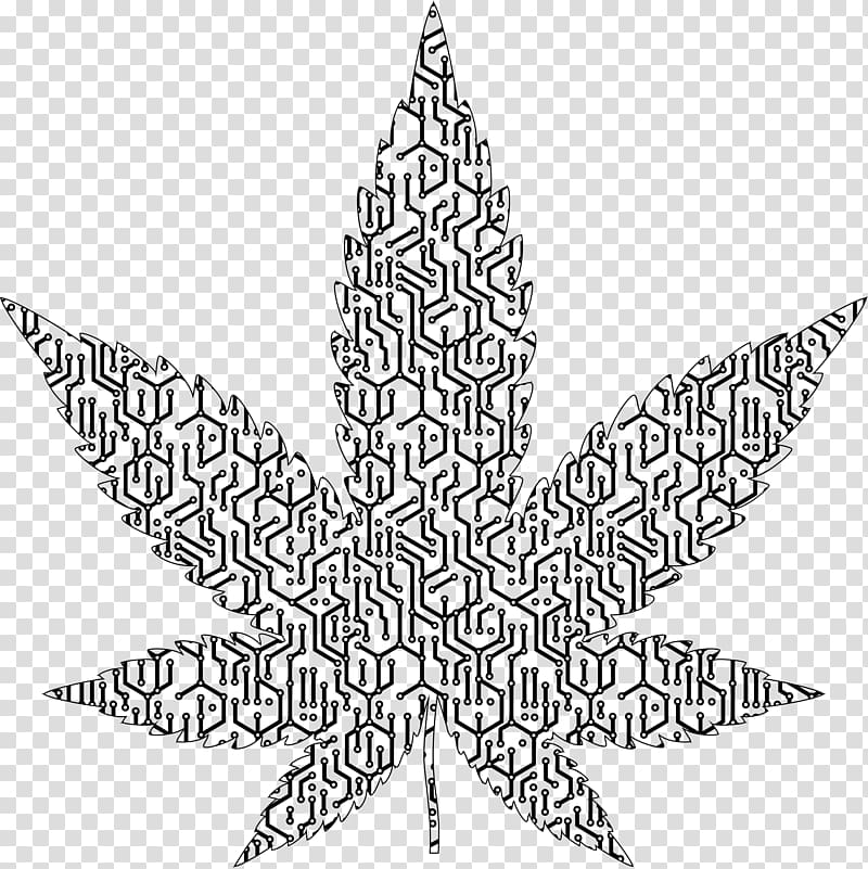 Medical cannabis , pot leaf transparent background PNG.