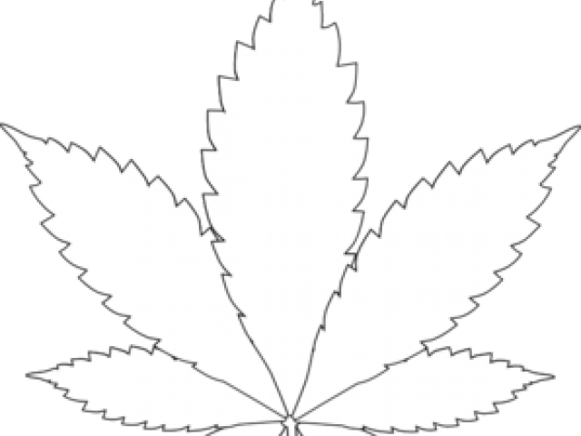 Drawn Weed Symbol Toronto Maple Leafs Weed Logo.