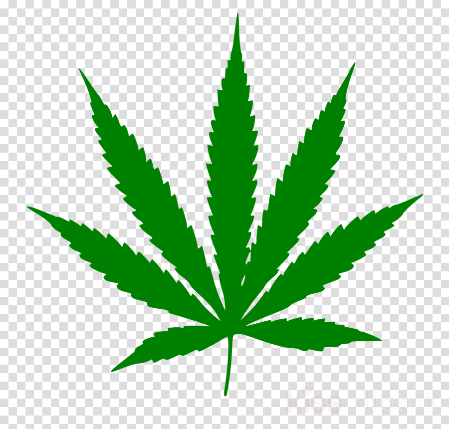 weed plant drawing clipart 10 free Cliparts | Download images on ...