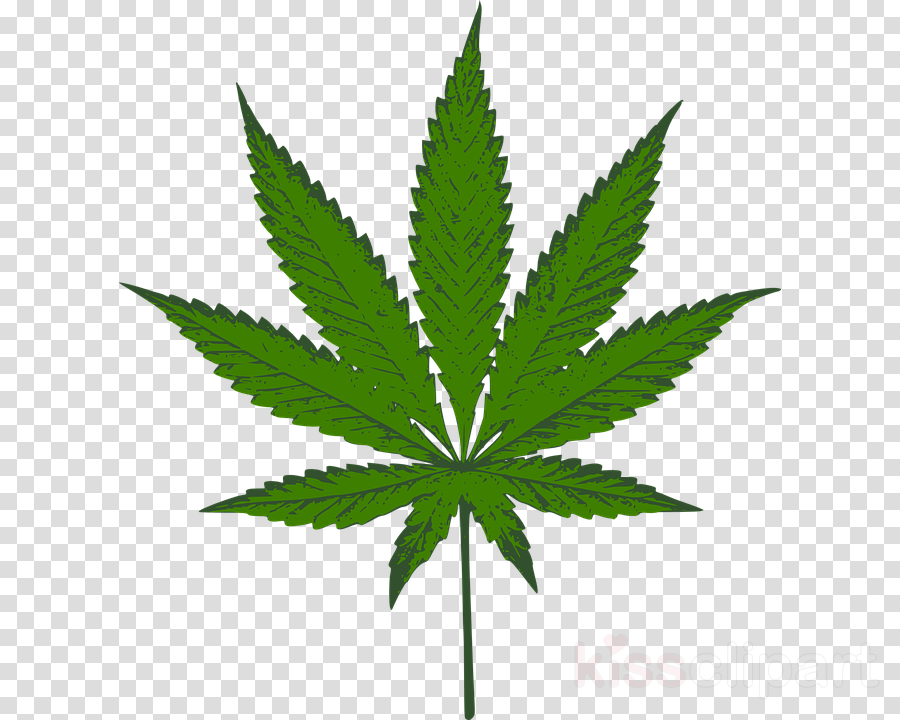 Cannabis Leaf Background clipart.
