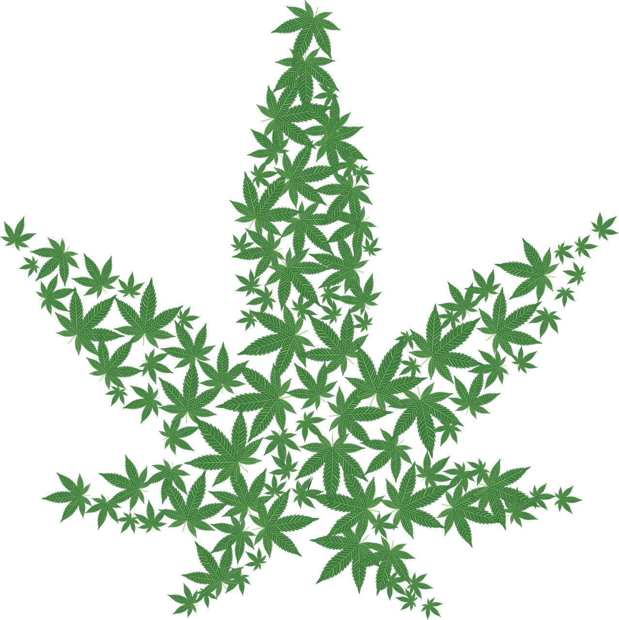 Cannabis business development workshops coming up (press.