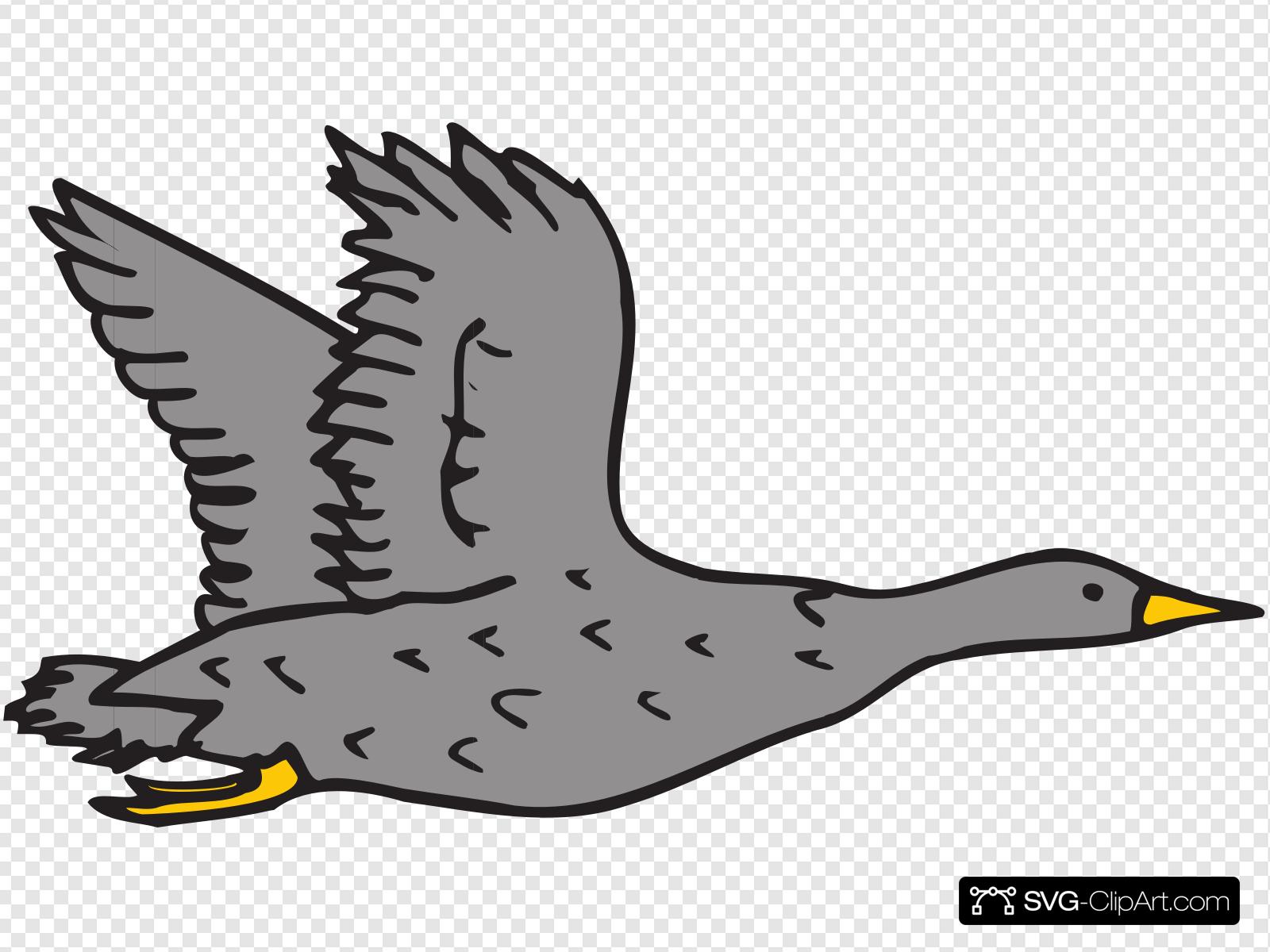 Gray Bird Clip art, Icon and SVG.