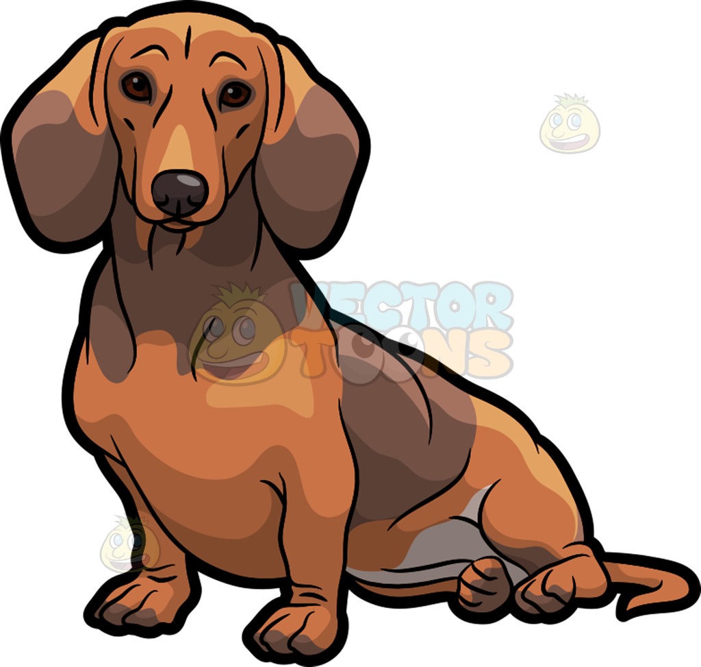 weiner dog clipart – free weiner dog clipart images – Kuchi