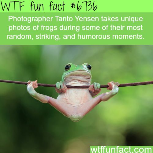 Weird Facts 20 Free Cliparts Download Images On Clipground 2024