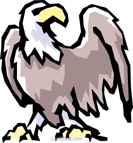 Weisskopf seeadler clipart 20 free Cliparts | Download images on ...
