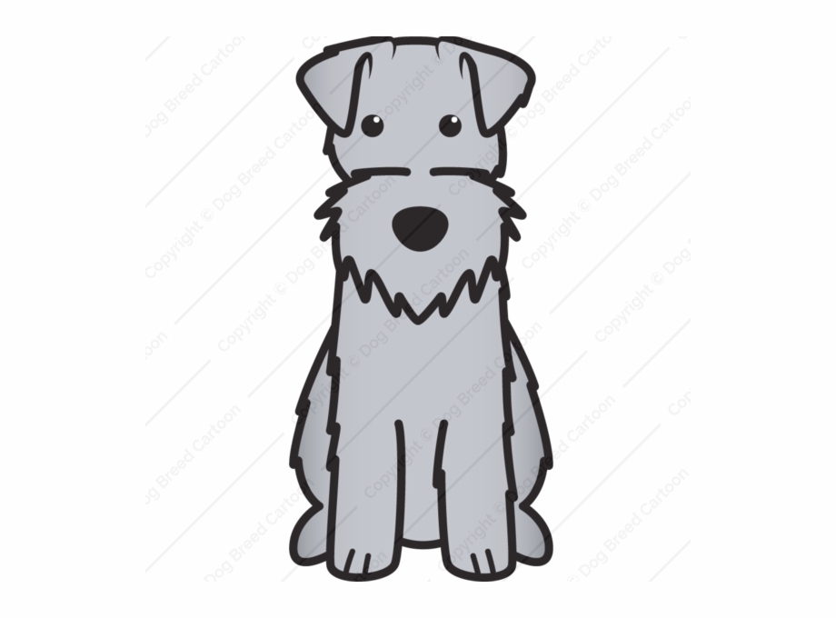 Irish Terrier Border Terrier Yorkshire Terrier Welsh Terrier.