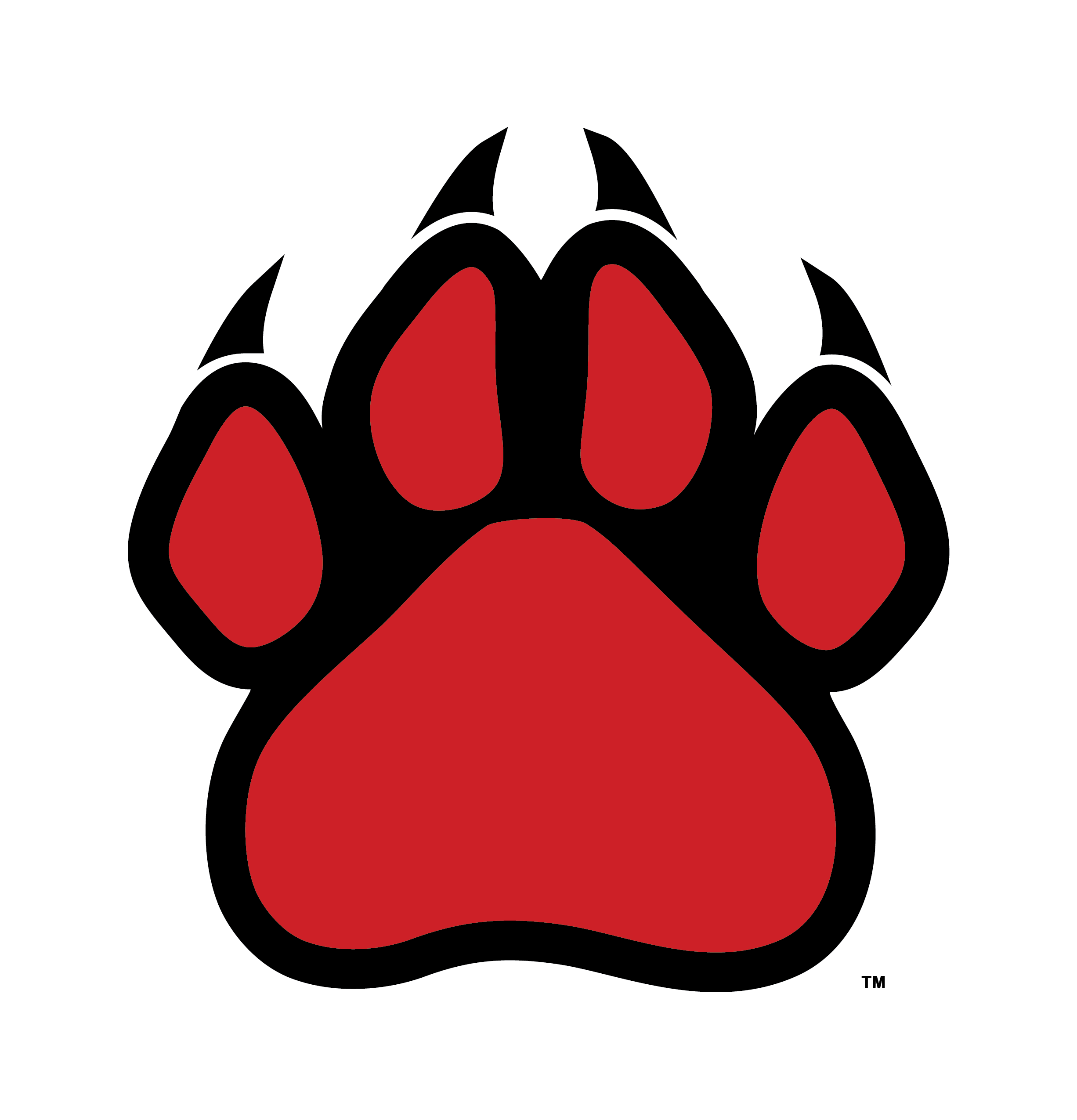 cougar paw