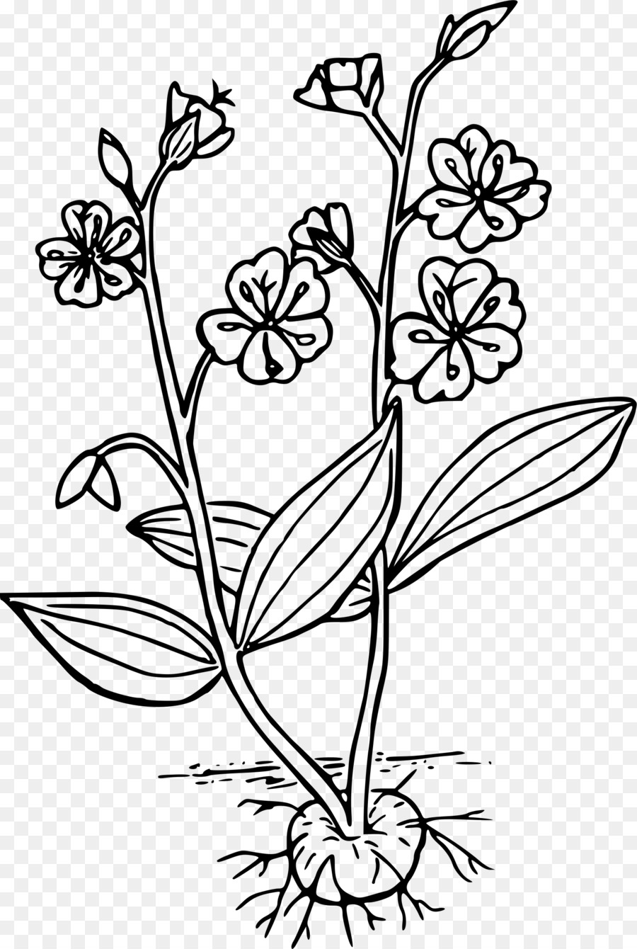 Black And White Flower clipart.