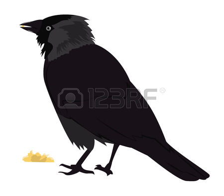 116 Jackdaw Stock Vector Illustration And Royalty Free Jackdaw Clipart.
