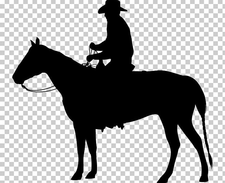 Horse Equestrian Western Pleasure PNG, Clipart, Animals.
