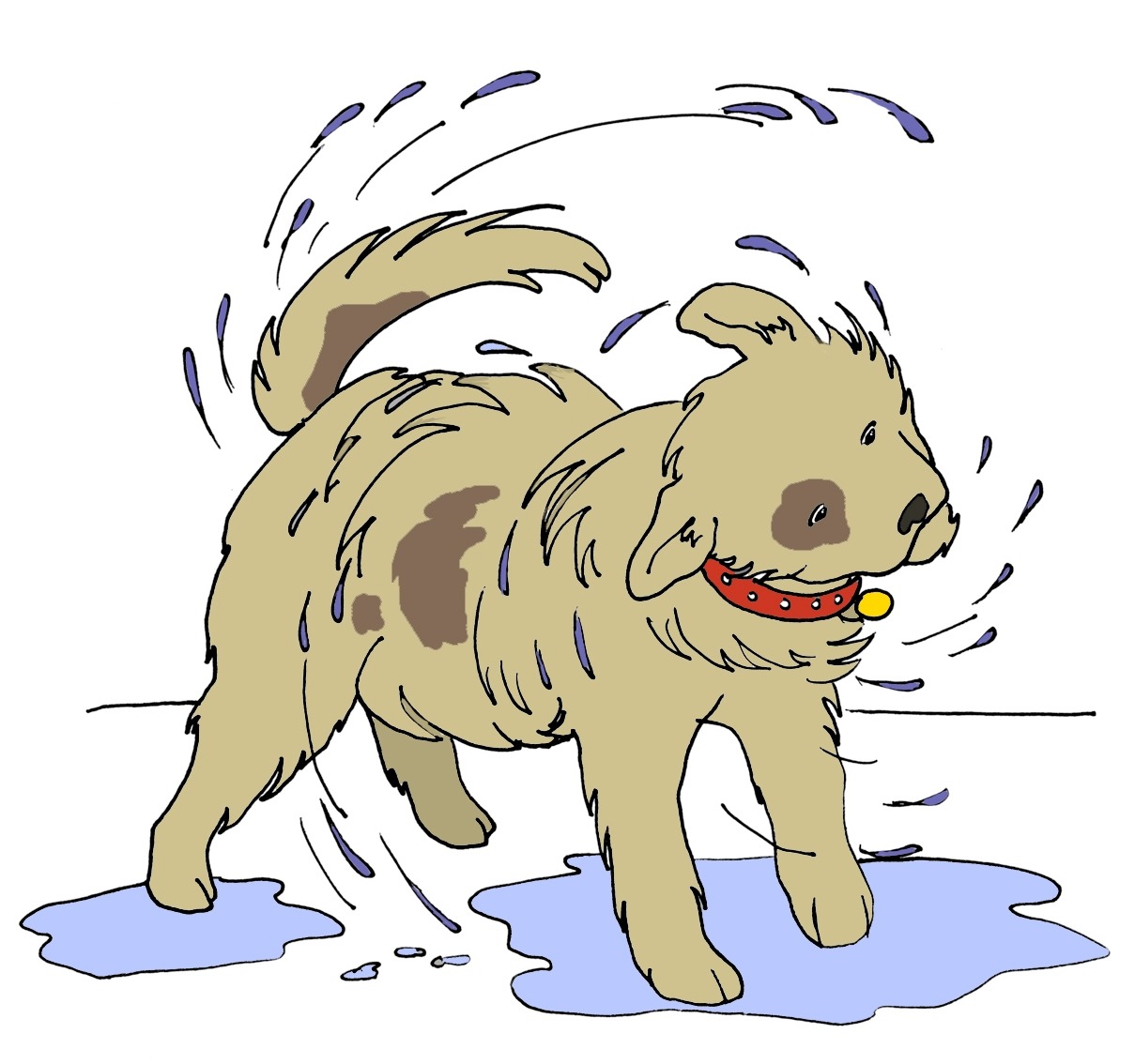 wet-dry-dog-clipart-10-free-cliparts-download-images-on-clipground-2023