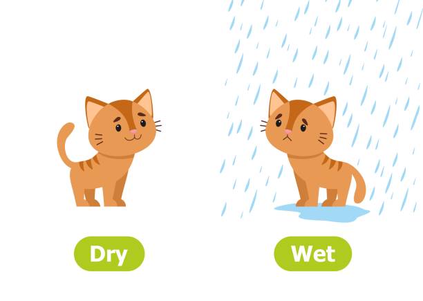 Dry wet что это