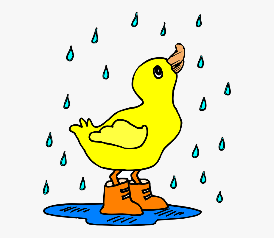 wet rain clipart 10 free Cliparts | Download images on Clipground 2024