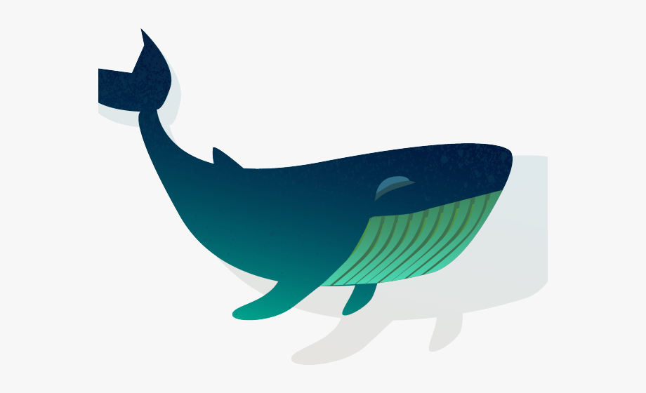 Blue Whale Clipart Shark.