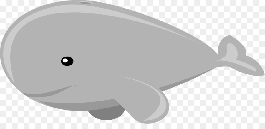 Whale Cartoon clipart.