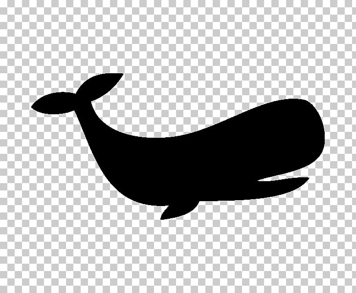 Silhouette Stencil Drawing Sea lion , Silhouette PNG clipart.
