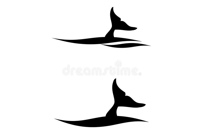 Whale Tail Stock Illustrations.