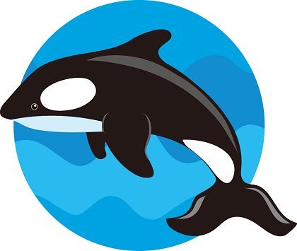 Sperm whale clip art vector sperm whale graphics clipart me.