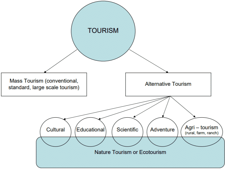 Types of tourism презентация