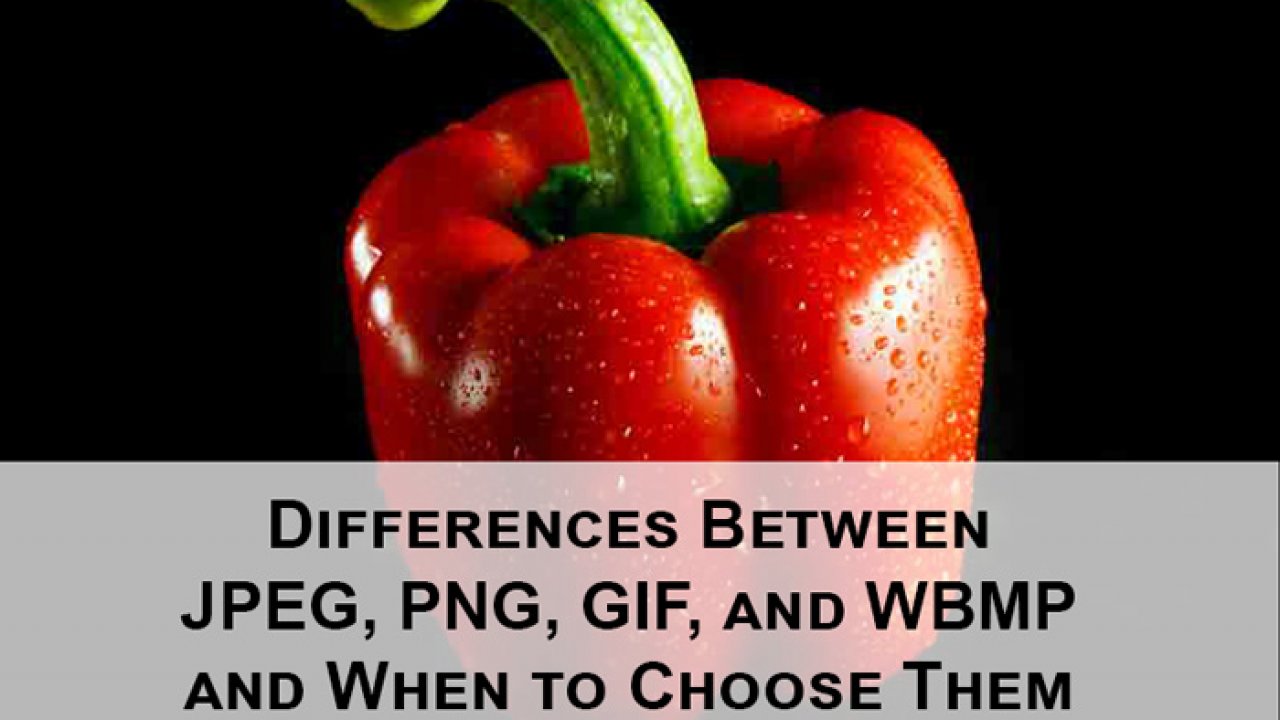Difference Among: JPEG vs. PNG vs. GIF vs. WBMP, and When to Choose.