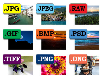 What Is The Difference Between Png And Jpg (106+ images in.