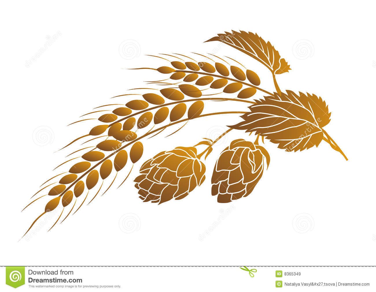 Image result for hop barley clip art.