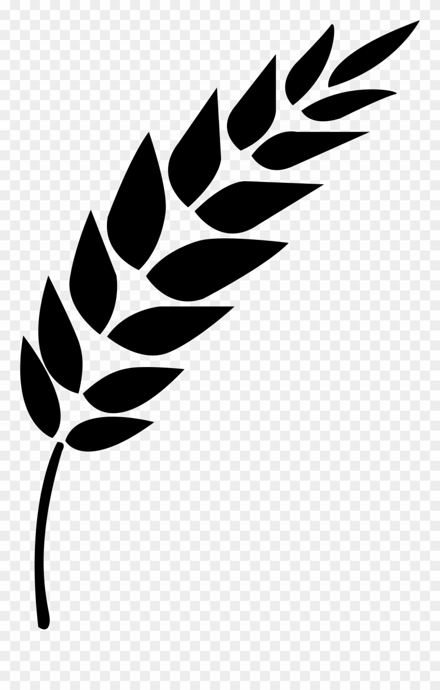 wheat vector clipart  10 free Cliparts Download images on 