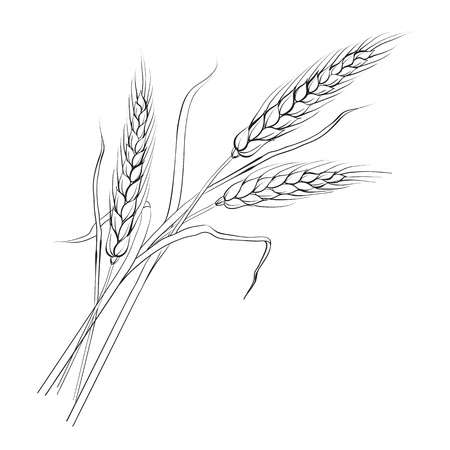 80,573 Wheat Stock Illustrations, Cliparts And Royalty Free Wheat.
