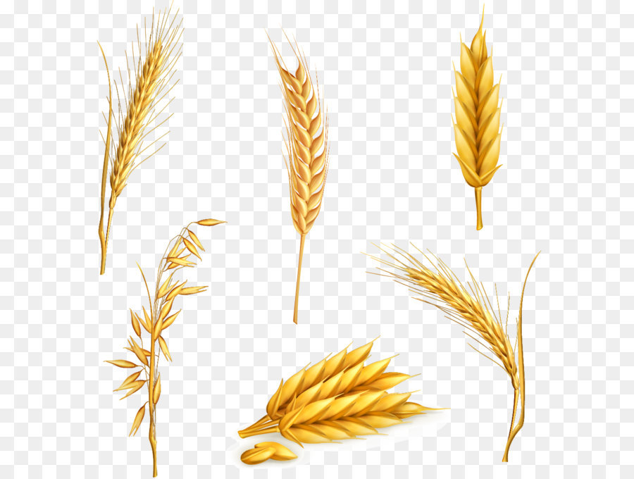 Cartoon Grass png download.