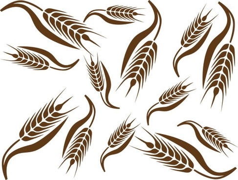 Wheat free vector download (325 Free vector) for commercial.