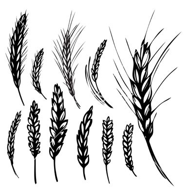 I would like a very small tattoo of a stalk of rye to show.
