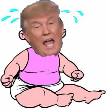 Fact Check: Trump Is Indeed a Big Whiny Baby.