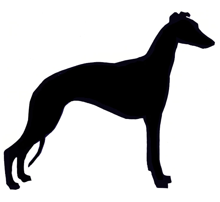 Whippet clipart 20 free Cliparts | Download images on Clipground 2024