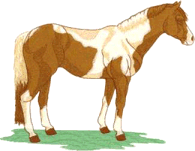 Free Paint & Pinto Horse Clipart.