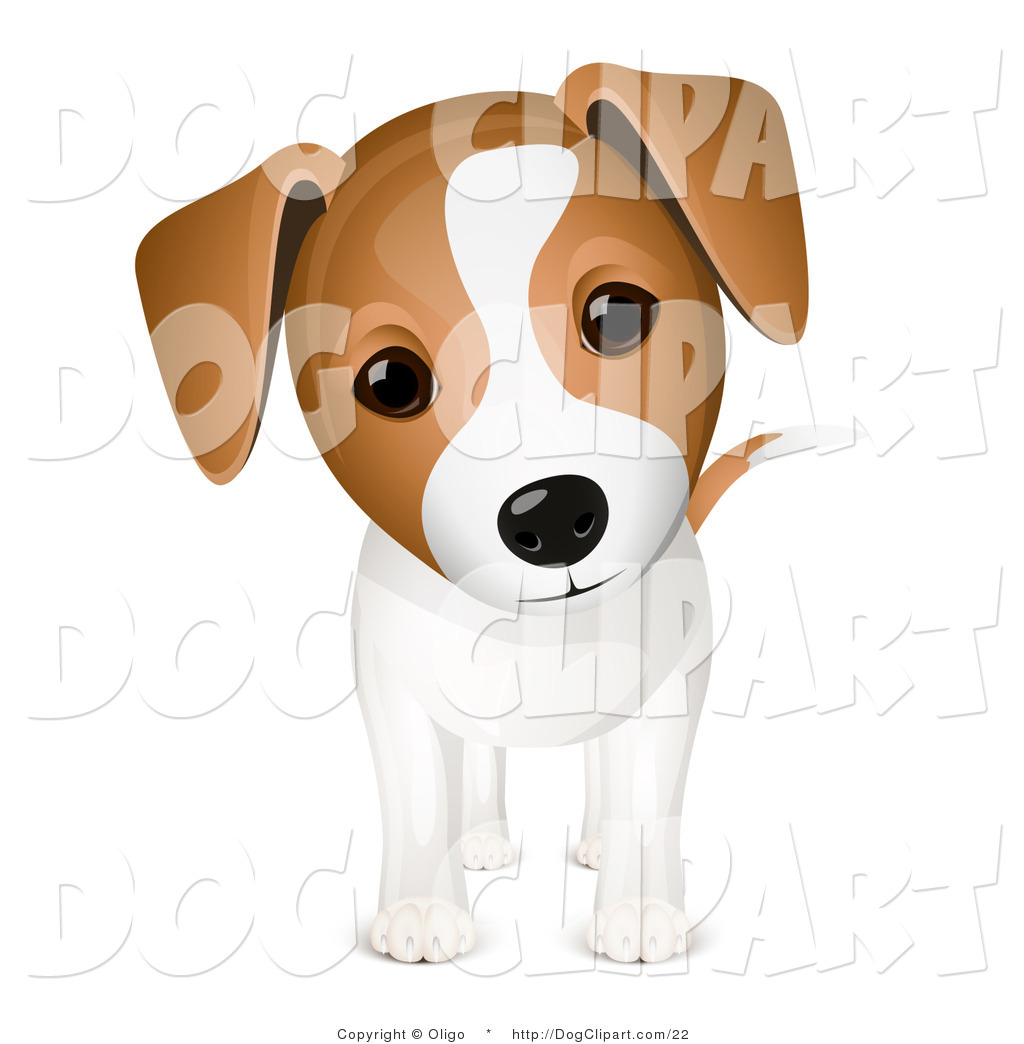Brown and white dog clipart.