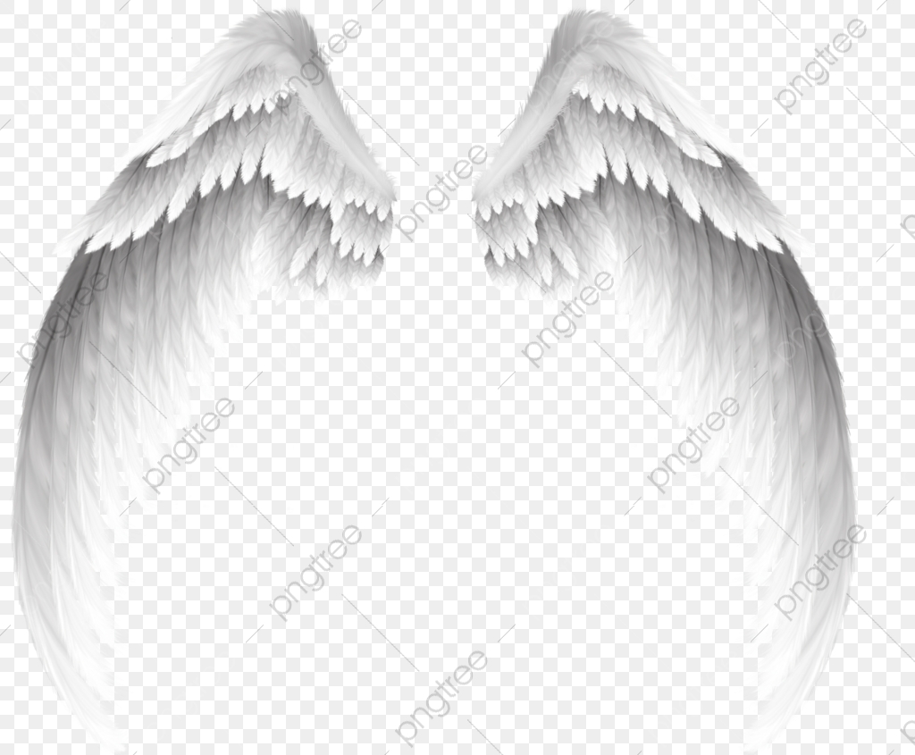 Pretty White Angel Wings, Angel Clipart, Wings Clipart, White PNG.
