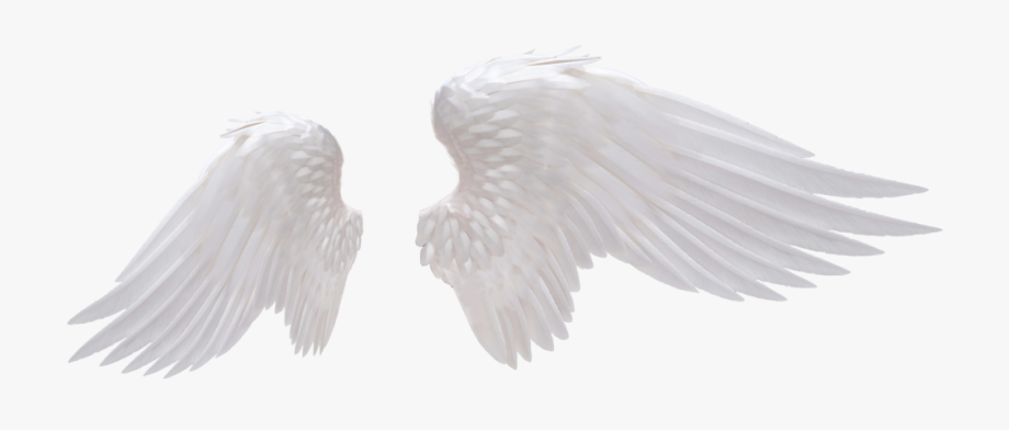 Angel Wings Png Image.