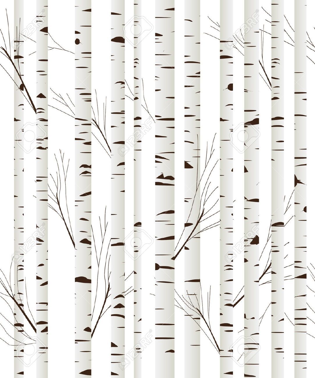 black and white birch tree wallpaper.
