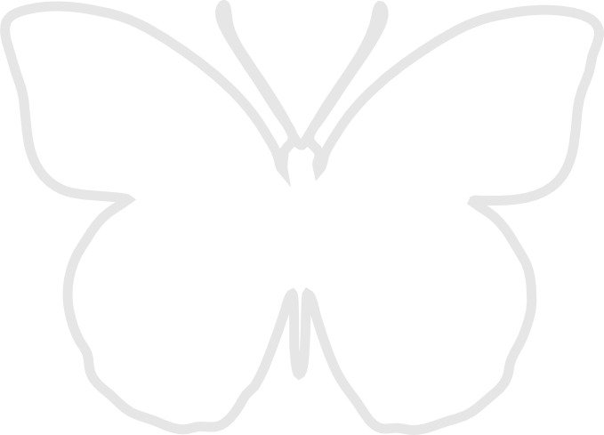 White butterfly clipart 20 free Cliparts | Download images on