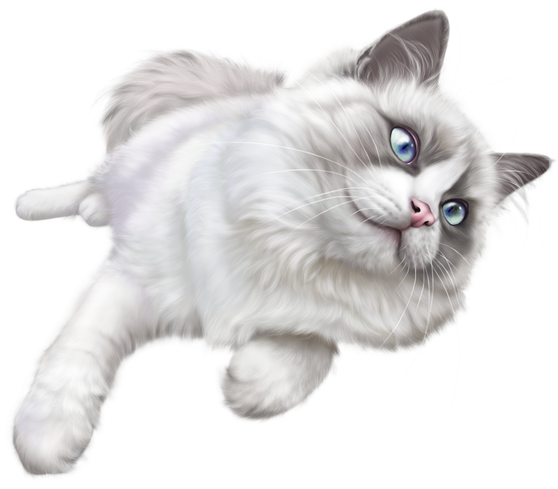 White Cat PNG Clip Art.