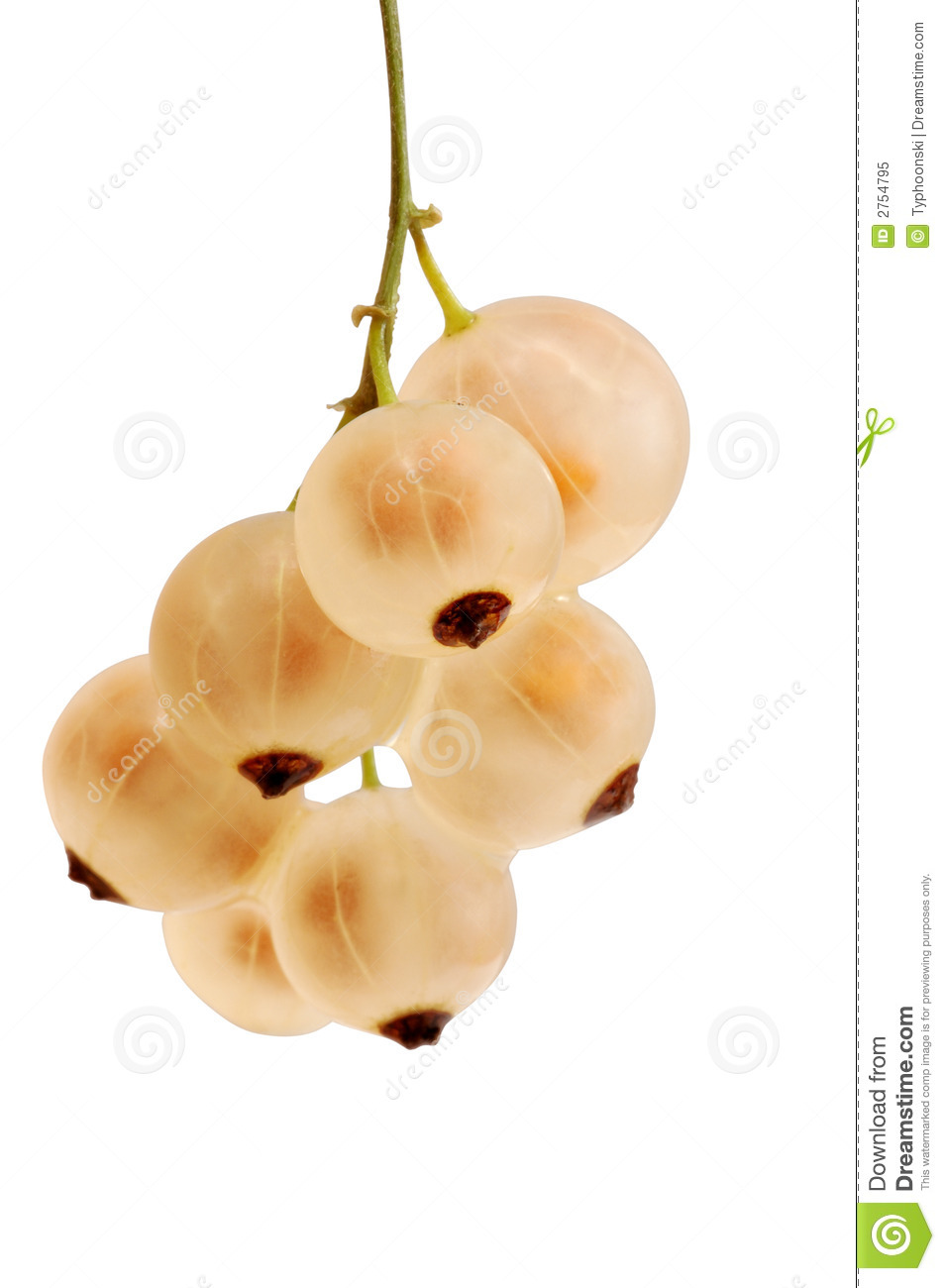White Currant Royalty Free Stock Photo.