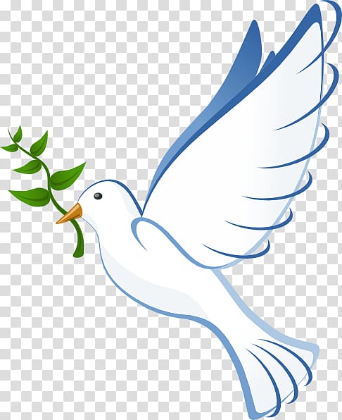 White dove carrying leaf illustration, Columbidae Bible.