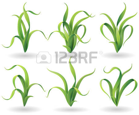 Tuft Images & Stock Pictures. Royalty Free Tuft Photos And Stock.