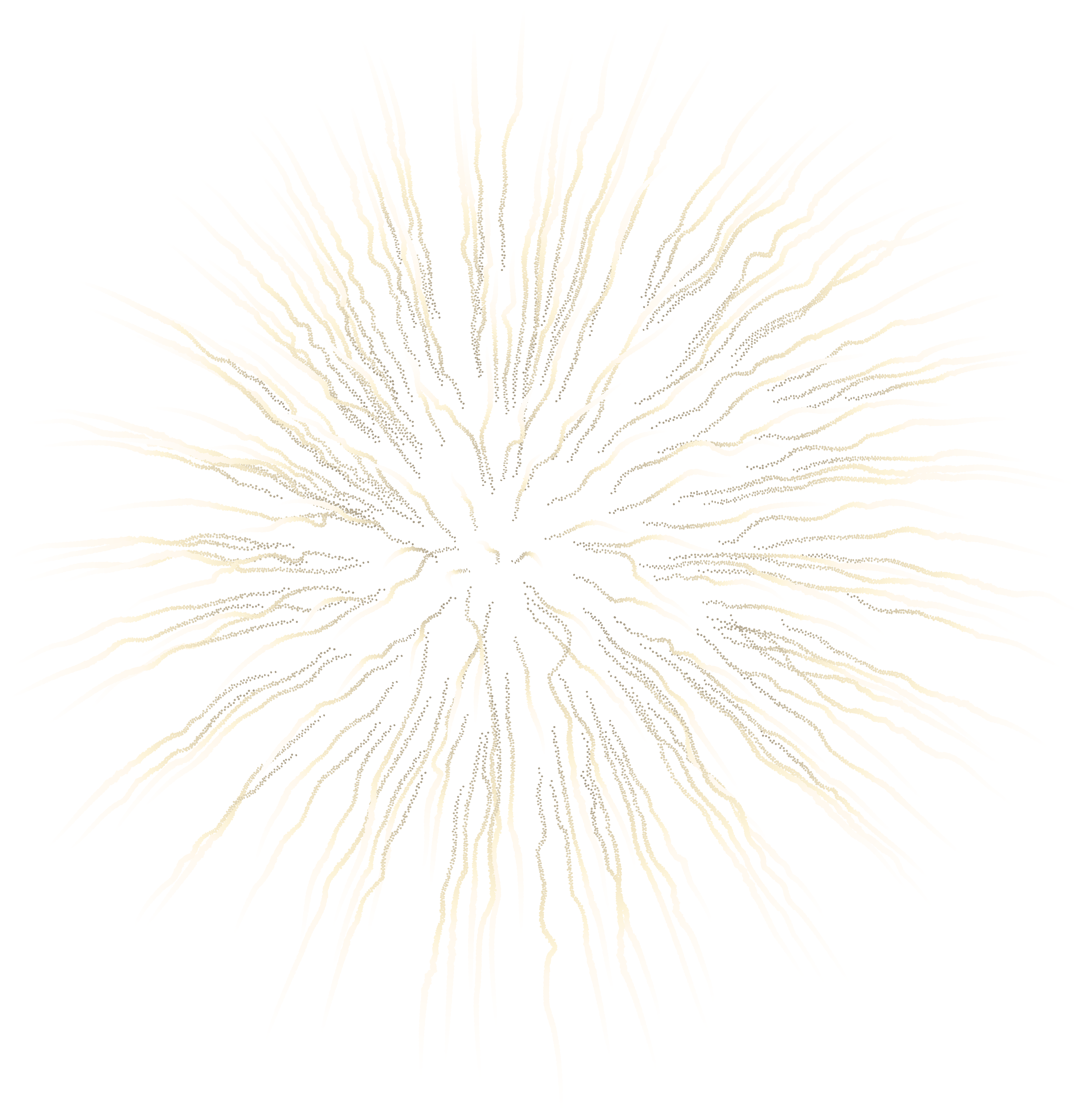 white fireworks png 10 free Cliparts | Download images on Clipground 2021