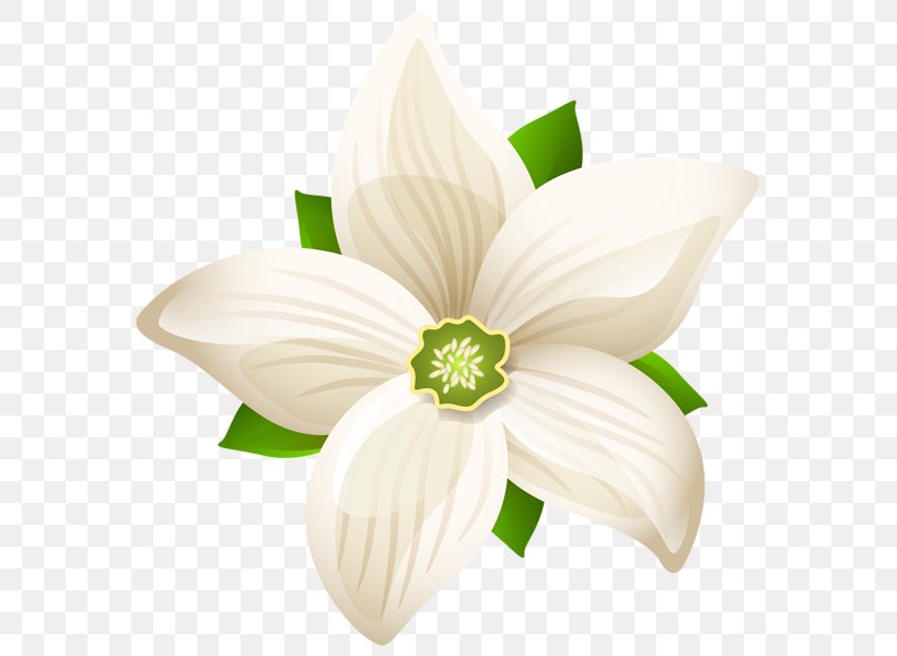 white flowers clipart png 10 free Cliparts | Download images on