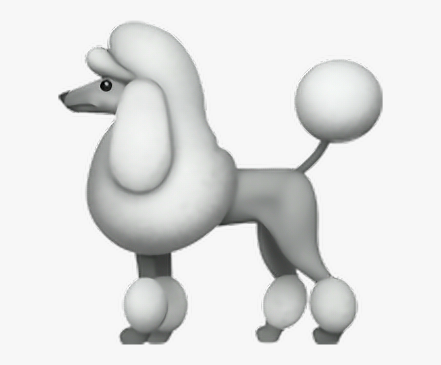 emoji #sticker #poodle #dog #puppy #white #fluffy.