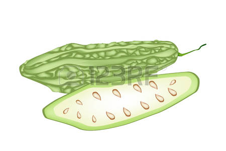 White gourds clipart 20 free Cliparts | Download images on Clipground 2021