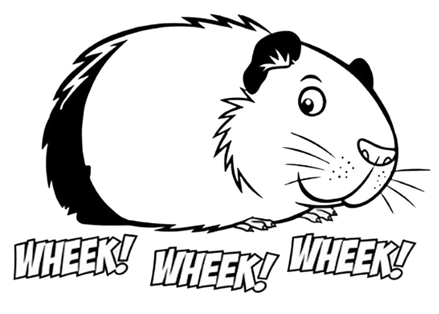 Black And White Guinea Pig Clipart.