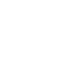 White home 5 icon.